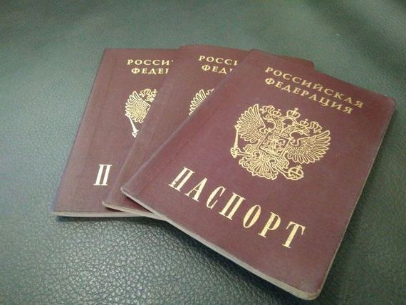 прописка в Истре